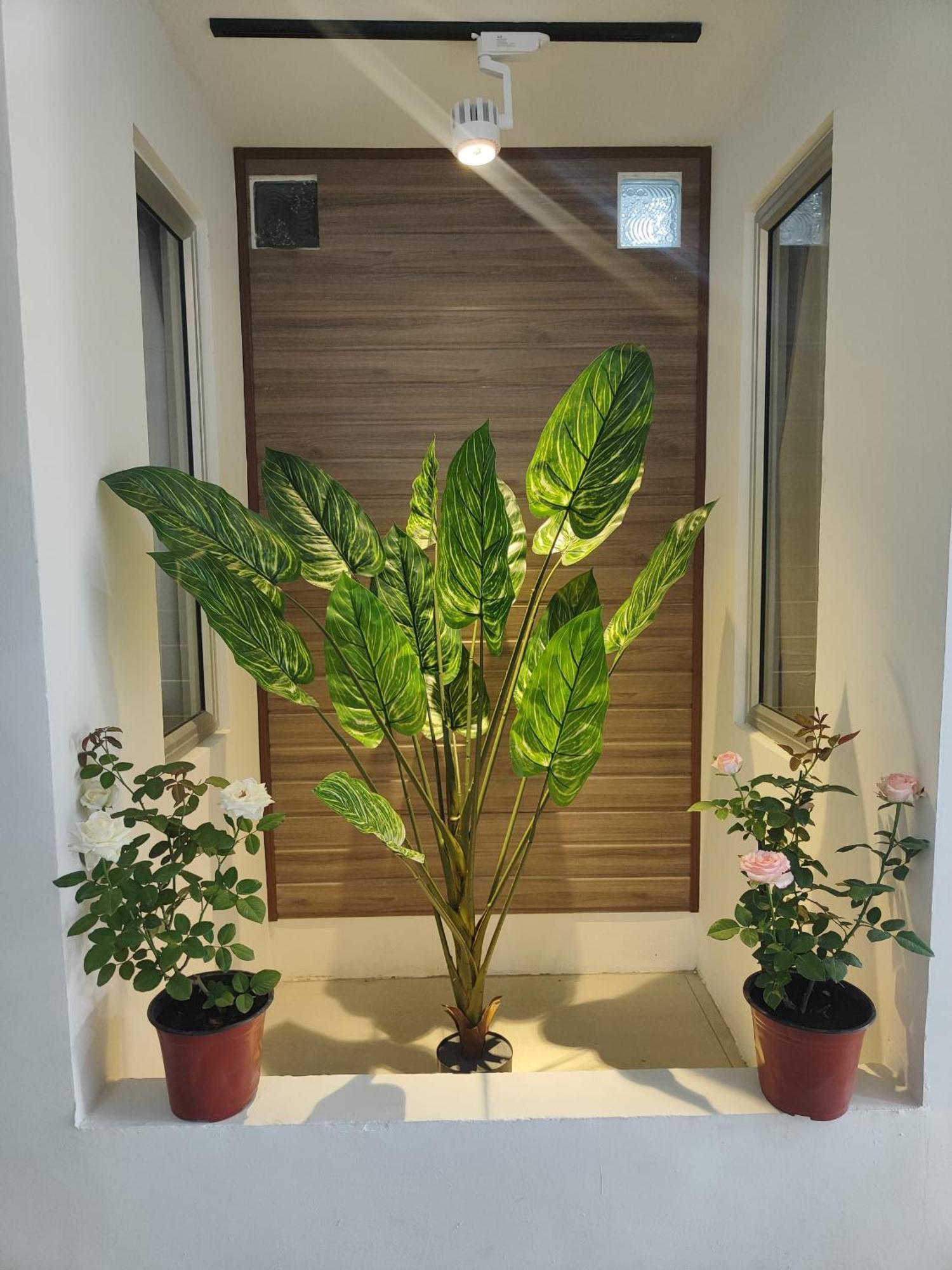 Greenery Rooms Tawau Exterior foto